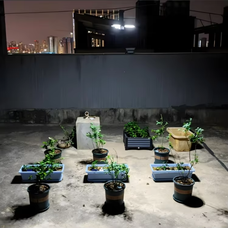 Outdoor Portable Light JWD-013 – Rechargeable Small Floodlight/Flashlight, Multi-functional, for Camping